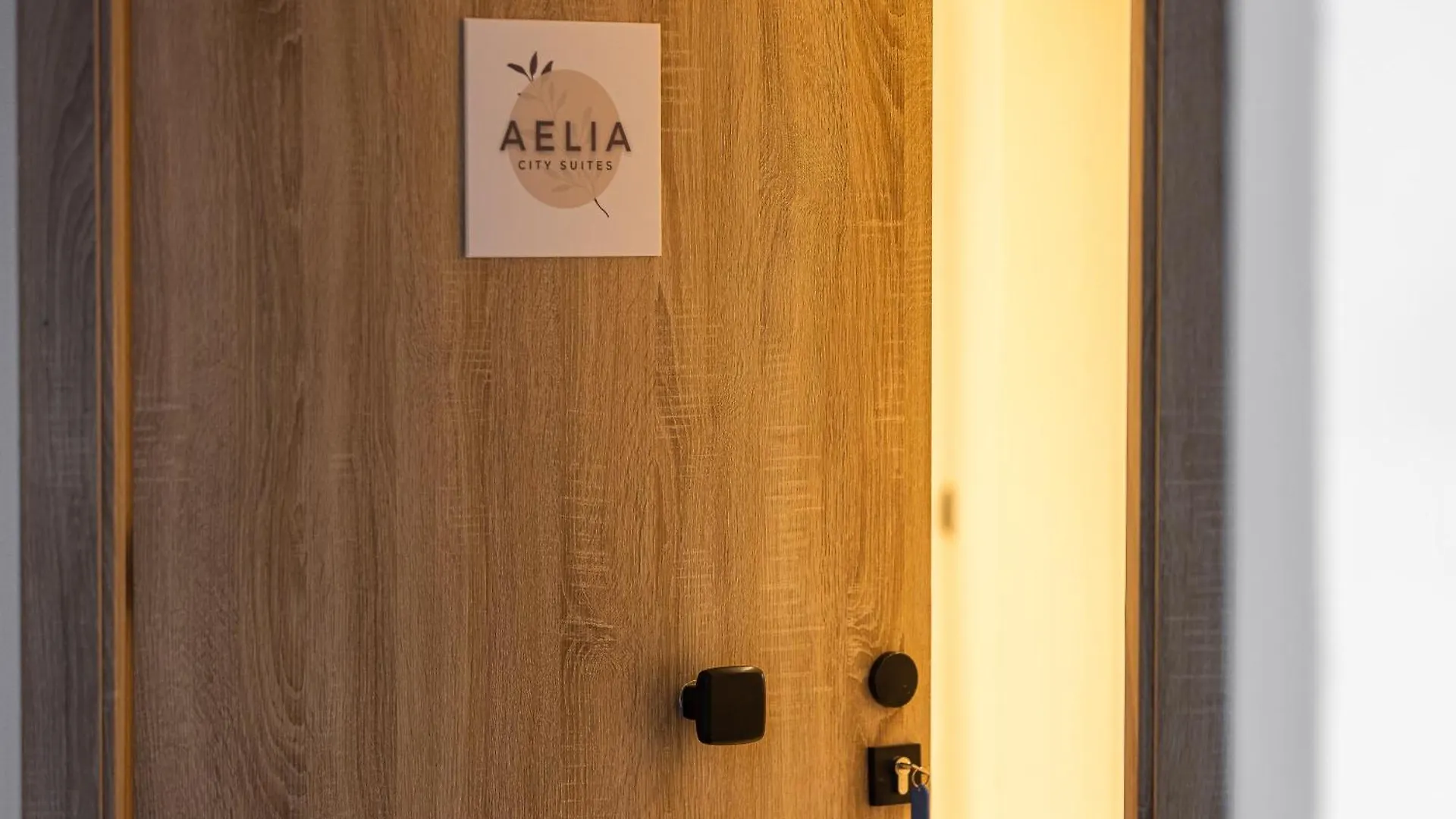 Lejlighed Aelia City Suites Rethimno